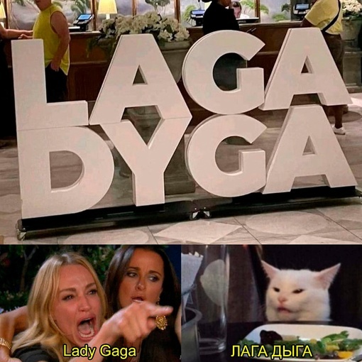 Laga Dyga - cat, Two women yell at the cat, Humor, From the network, Rock ebol, Repeat