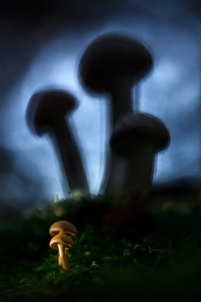  , , ,  , 