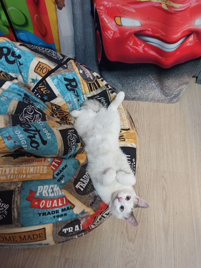   ,      , , , 