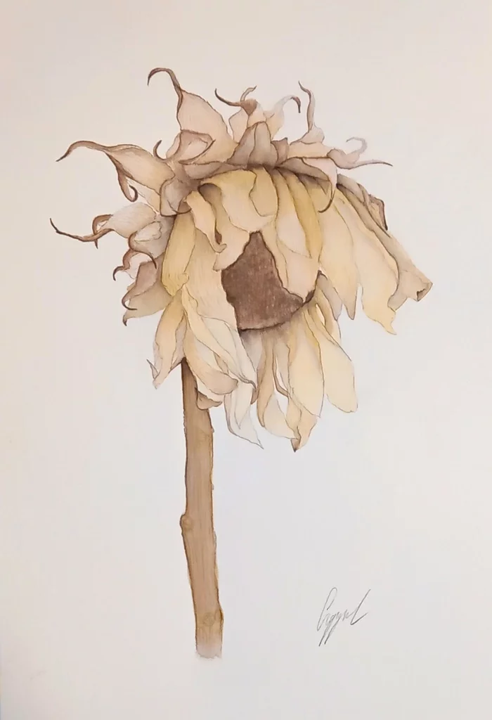 Sunflower - My, Sunflower, Autumn, Autumn leaves, Illustrations, Artist, Flowers, Plants, Painting, Longpost, Beginner artist