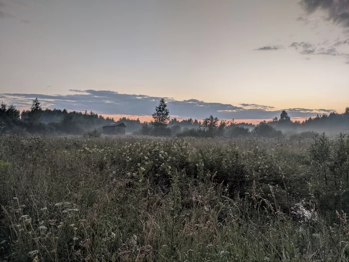 house in the fog - My, Mobile photography, House in the woods, Photo on sneaker, Fog