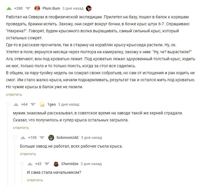 Крысиный волк - Комментарии на Пикабу, Крыса, Истории из жизни, Животные, Скриншот