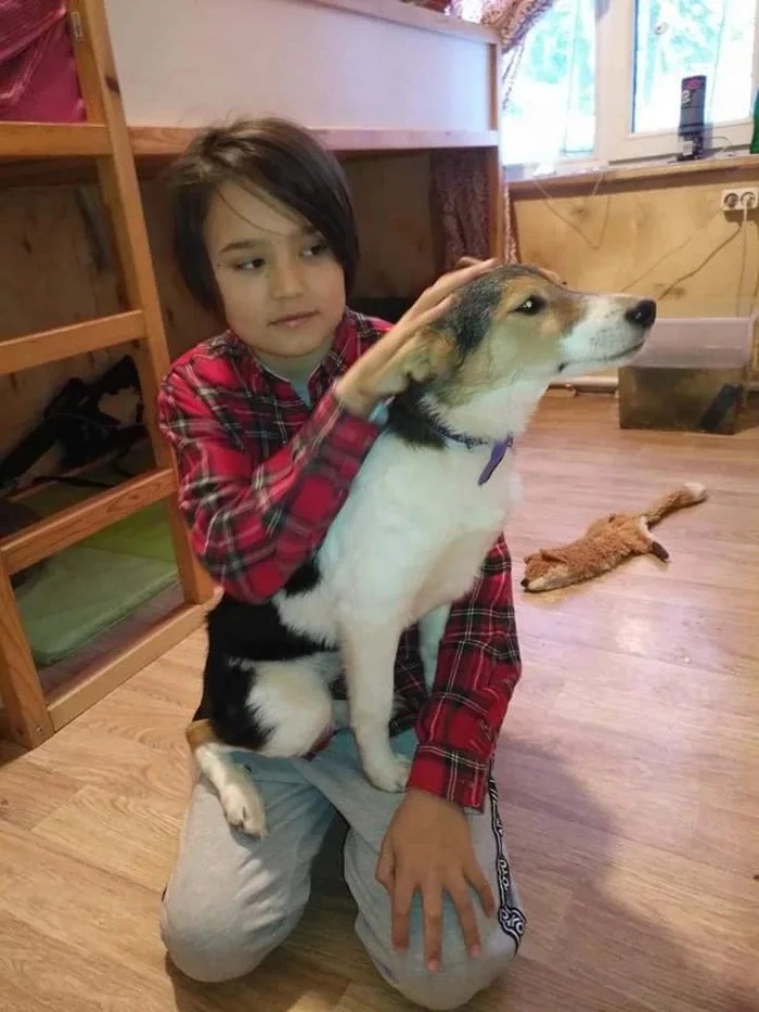 Innate culture of behavior, innate PROHIBITION OF AGGRESSIVE BEHAVIOR TOWARDS A PERSON - Dog, Informative, Puppies, Video, Youtube, Longpost