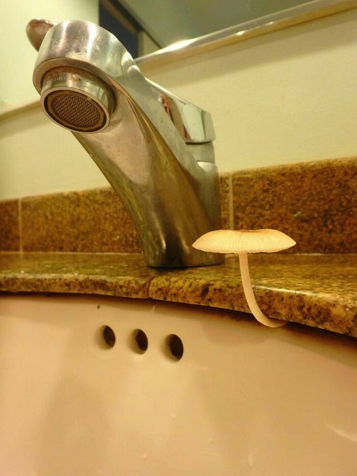 Жажда жизни