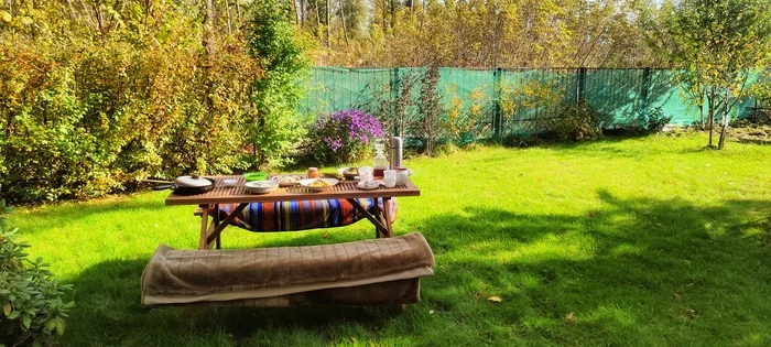 The same photo - My, Dacha, Relaxation, The photo, Good weather, Family, Beautiful