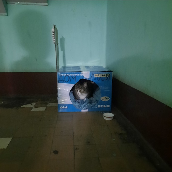 ��� ��� ����� ����