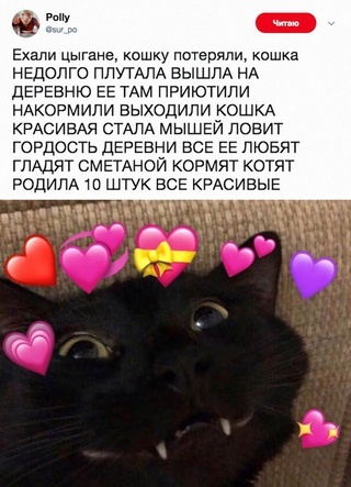 Считалочка которую заслужила кошка - Детская считалочка, Кот, Цыгане, Twitter, Скриншот