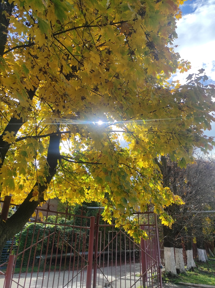 ������ �����