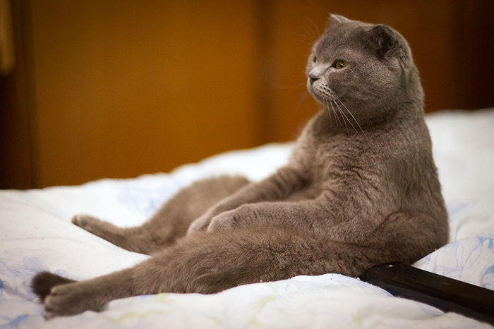 �������� ��������� "� ���� ��������"