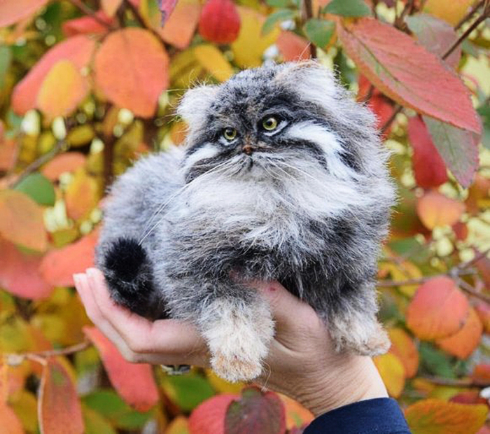 ������� .4