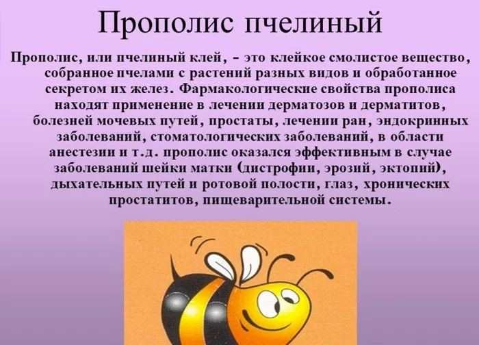 Benefits of Propolis - Treatment, Disease, Health, Propolis, Benefit