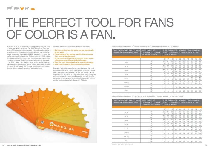 ������ ������������. ����� 2