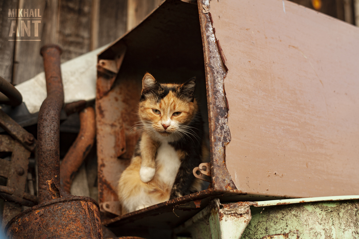 _EOS_5D_100_MG_8499_MAL_LU