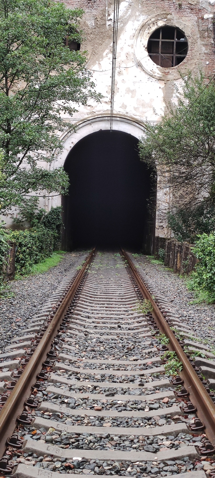 ��� ������ ��� �����������?