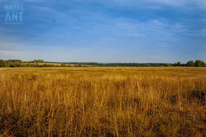 _EOS_5D_100_MG_8696_MAL_LU - My, Canon, The photo, Horizontal layout, Nature, Field, Grass, Power lines, Sky, Clouds