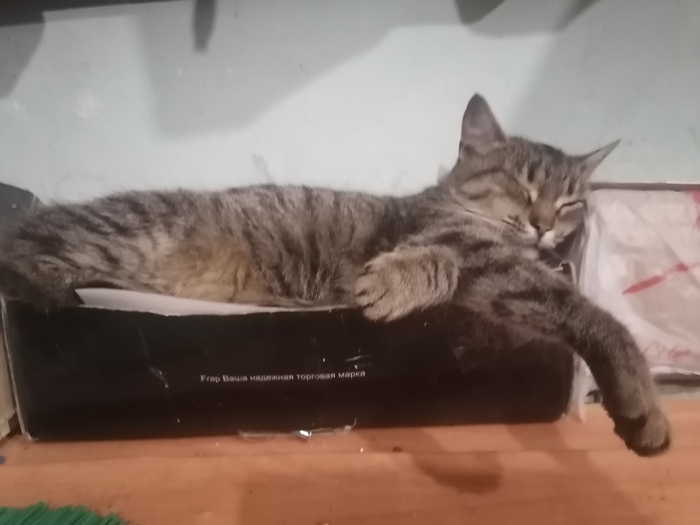 �������� ������������� ��������)