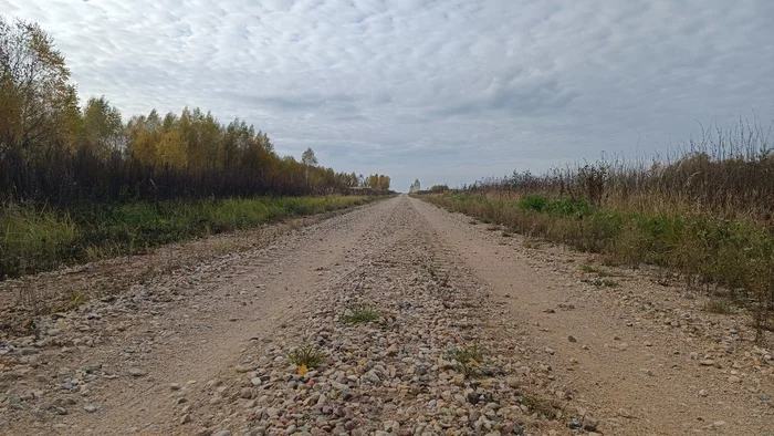 Осенняя дорога в деревню - Моё, Фотография, Мобильная фотография, Осень, Дорога