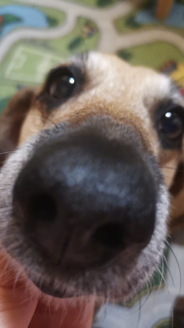   , , ,  , , 