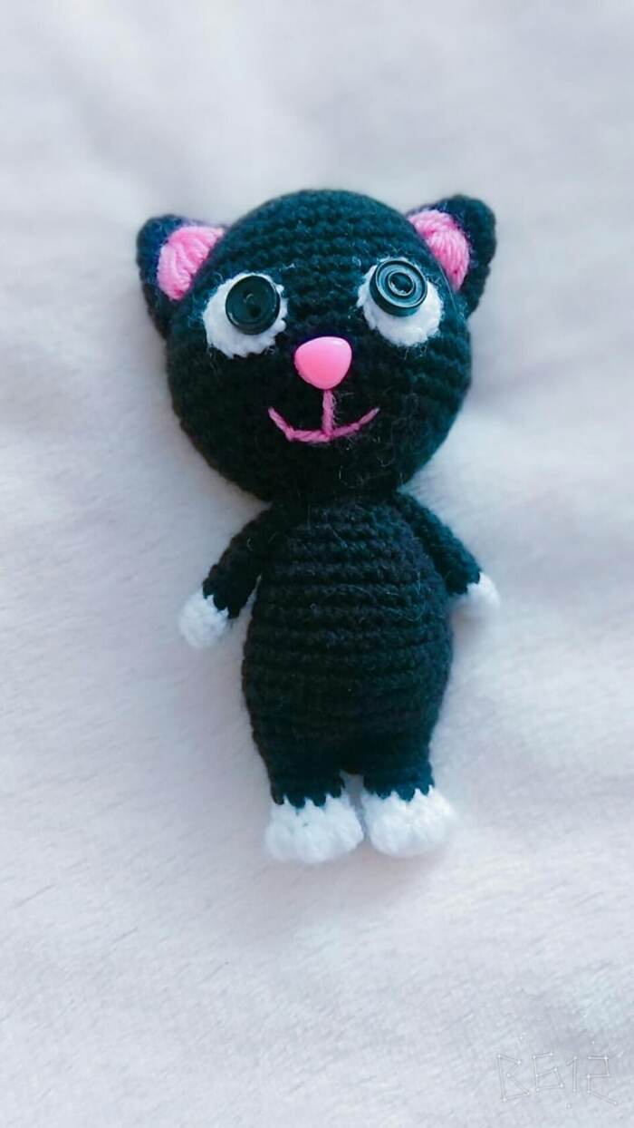 Черный котик