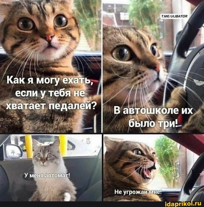      !? ,   , , 