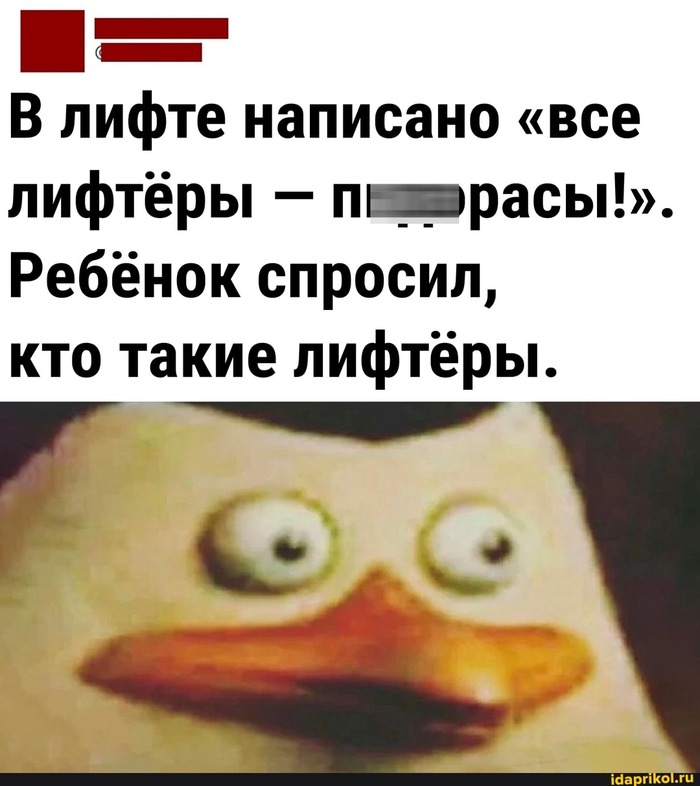    ,   , 
