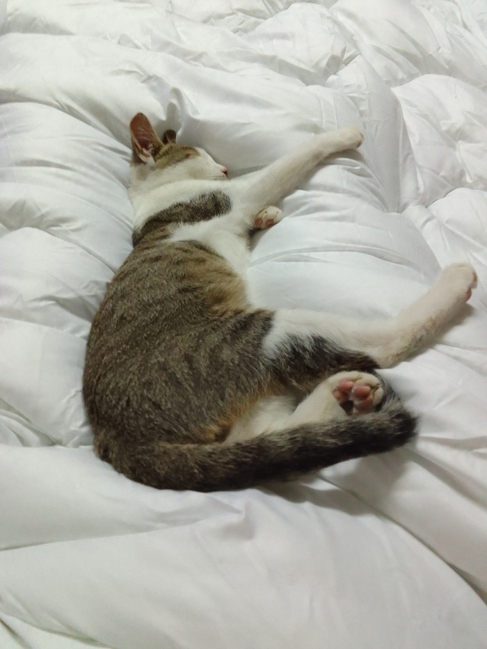 ������� ����!