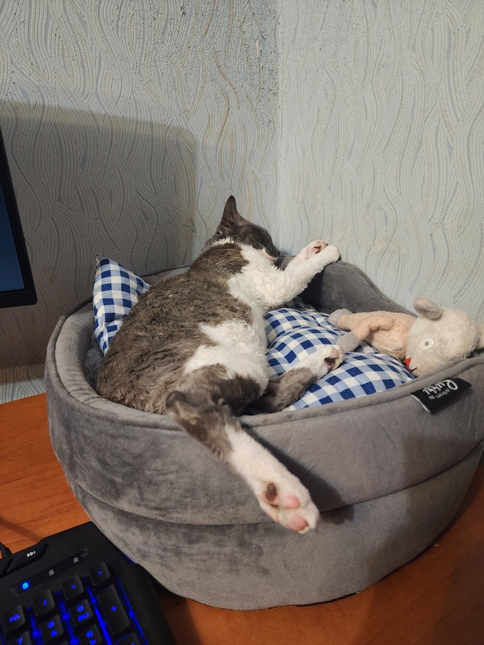   , , , , 