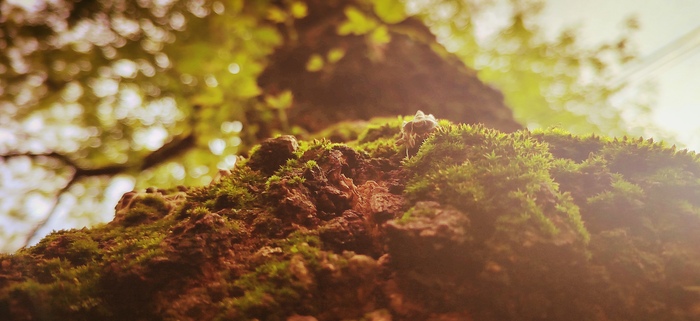 ��������� ����)