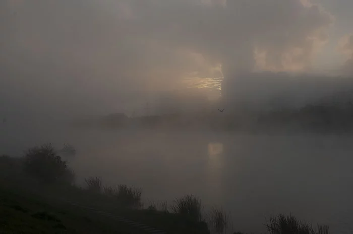 The first cold snap - My, Moscow River, Maryino, The park