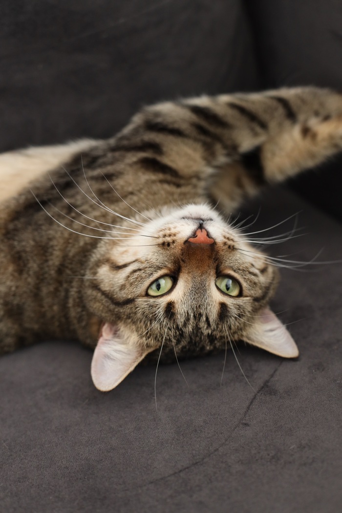 � �� � ����� ����� ������������ � ��� ����?