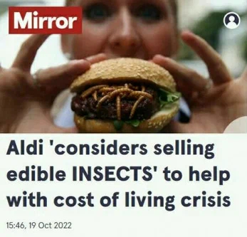 The Mirror: Amid the crisis, the British will be offered cheap crickets instead of beef - England, Insects, Food, Politics