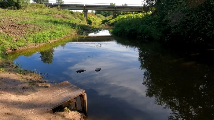 Cycling trip to St. Petersburg-Crimea. Day 2. Sunrise on the Kerest River - My, Travels, Travel across Russia, A bike, Bike ride, Cyclist, Hike, Drive, Saint Petersburg, Crimea, Velikiy Novgorod, Merlin, Nature, The nature of Russia, dawn, beauty, Sticky, Video, Vertical video, Longpost