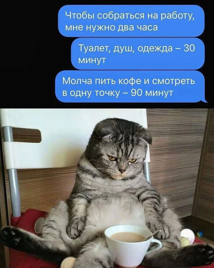 Kofiy with Valerian - Humor, Picture with text, Mood, Sarcasm, cat, Morning