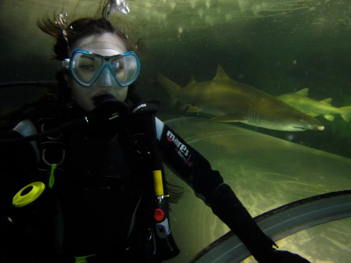 Underwater with sharks - Саша Грей, The photo, Girls, Shark