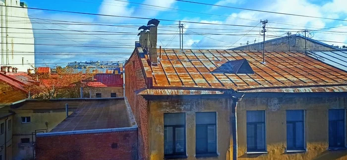 Sticky - The photo, Roof, Landscape, View from the window