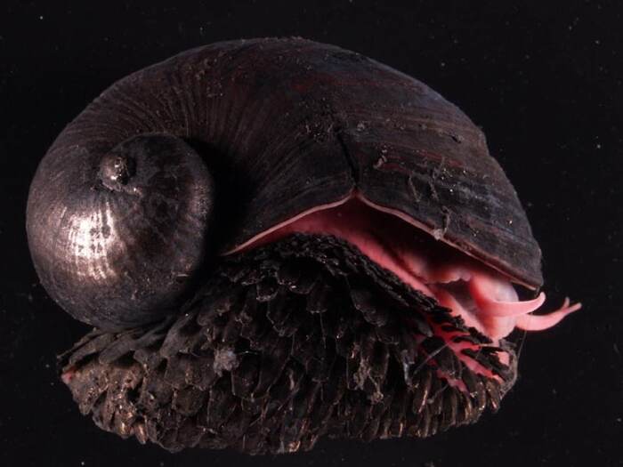      , , , 