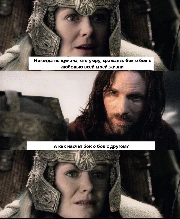 King of Gondor and Queen of the Friendzone - Lord of the Rings, Humor, Memes, Translated by myself, Aragorn, Eowyn, Picture with text, Repeat