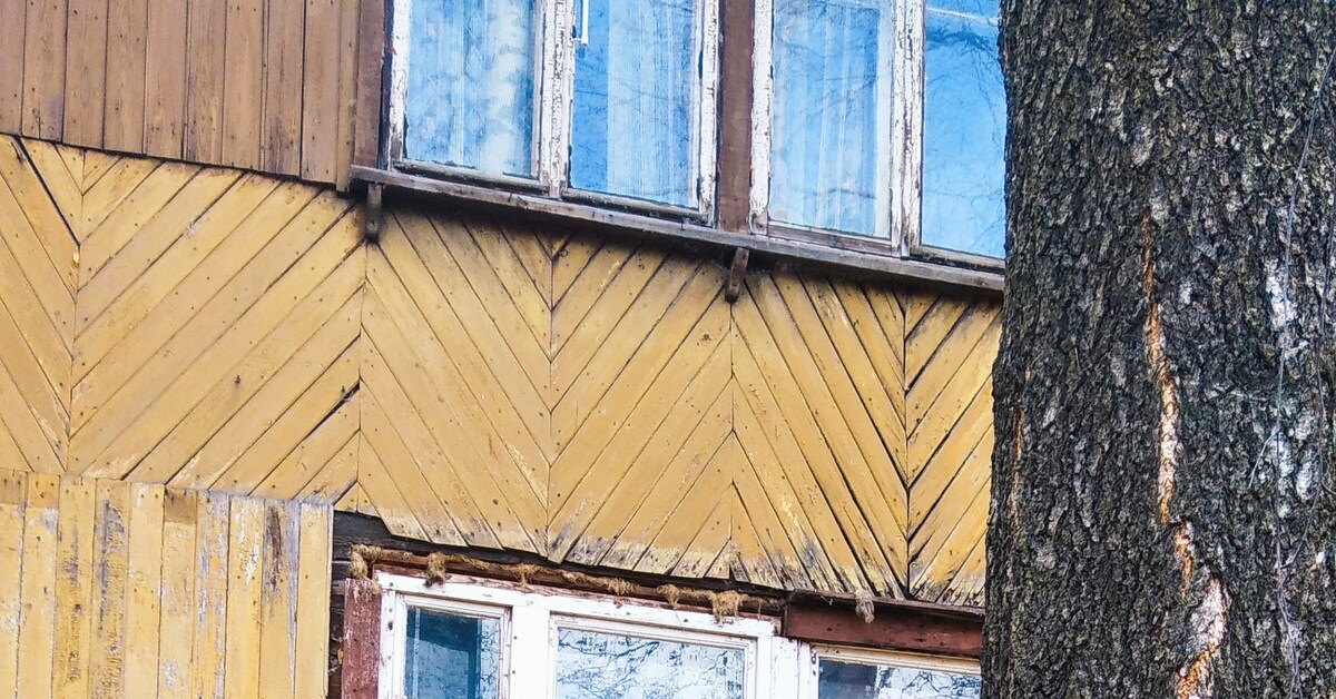 У барака | Пикабу