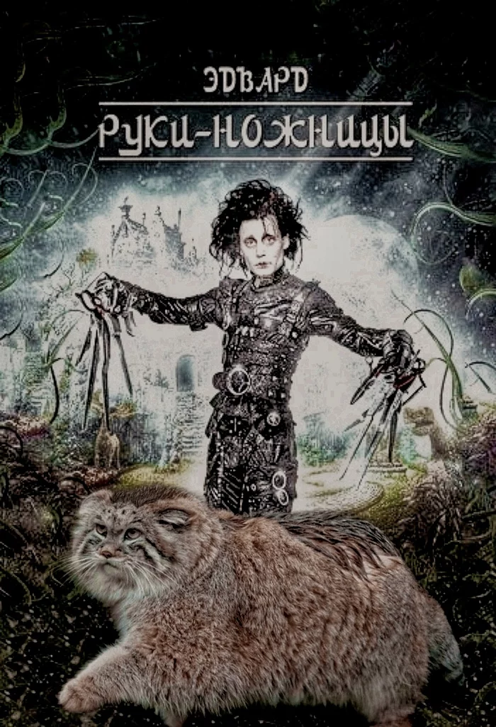 Response to the post Cinema News - Cat family, Pallas' cat, Pet the cat, Small cats, Fluffy, Edward Scissorhands, Johnny Depp, Photoshop, Reply to post, Longpost