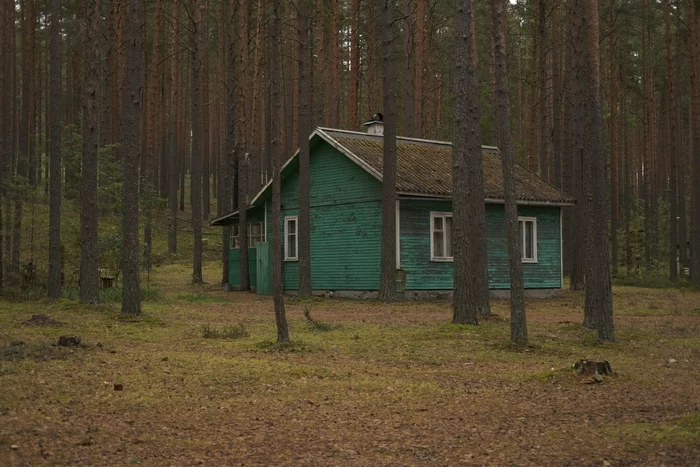 Mysterious and abandoned Losevo - My, Nature, Fujifilm, sights, Hobby, Mushrooms, Magic mushrooms, Autumn, Vuoksi, Saint Petersburg, Leningrad region, Longpost