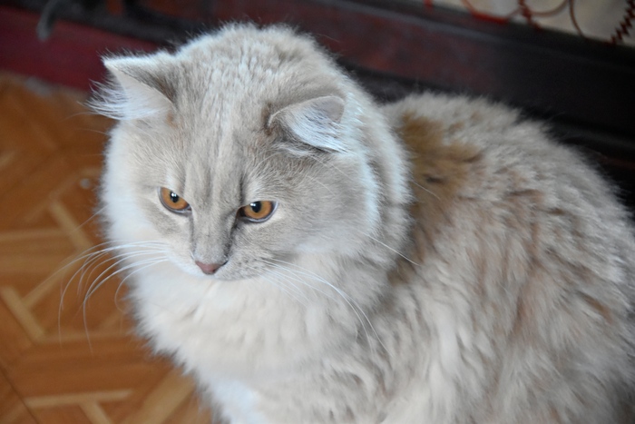 ���������� ���