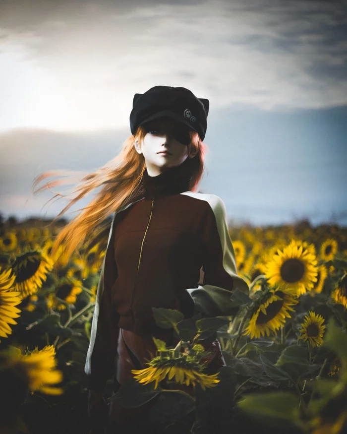 sunflowers - Art, Anime, Anime art, Sunflower, Evangelion, Asuka langley