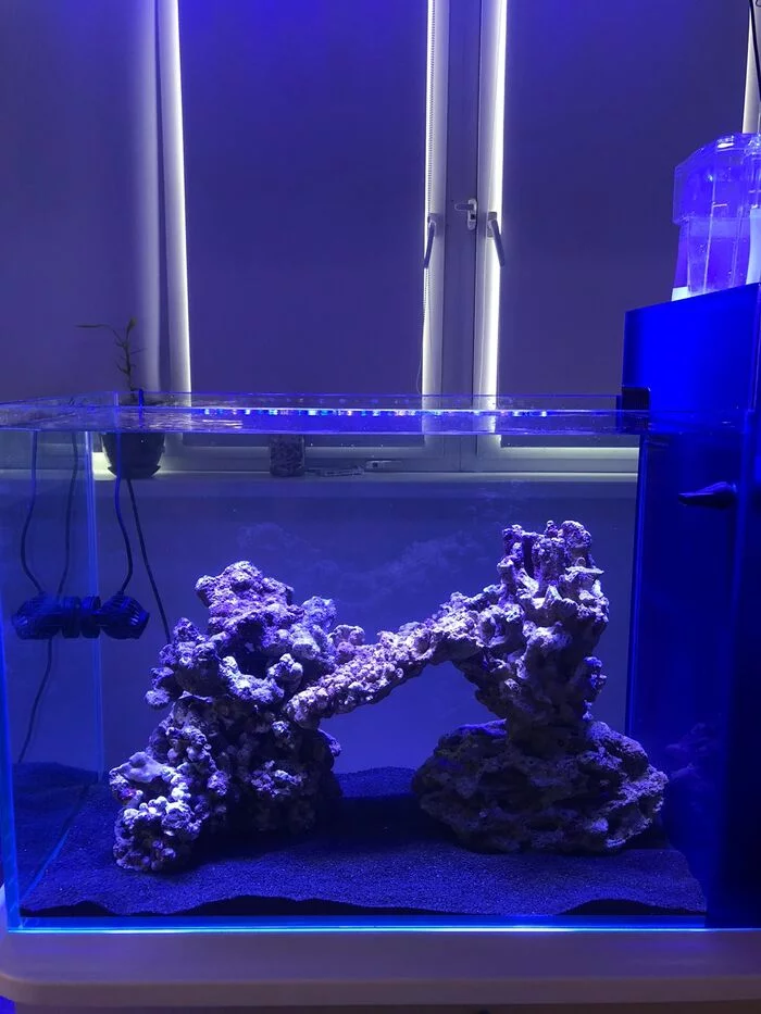 Marine aquarium 150 liters with rear sump - My, Sea Acarium, Aquarium, Workshop, Longpost