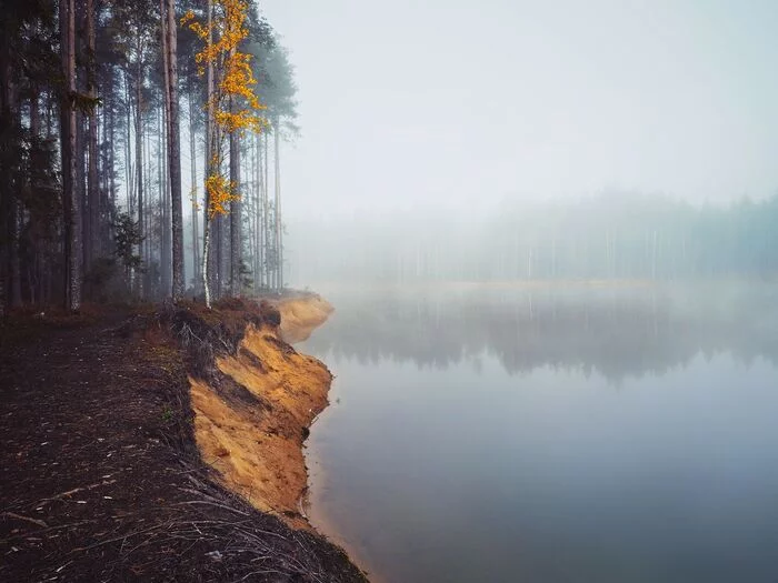 Late fall - My, The photo, Landscape, Fog, Leningrad region, Forest, Autumn, Lake