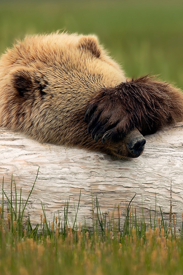 Ох уж этот понедельник! Глаза бы мои его не видели...