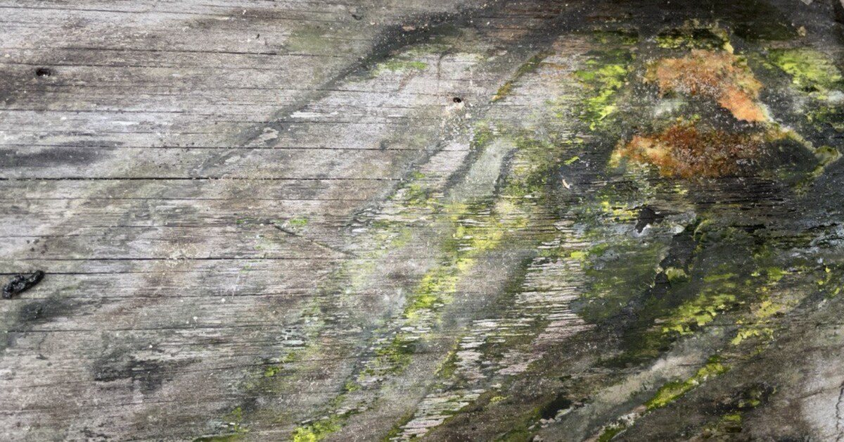 Утепление деревянного дома когда уже есть внутренняя отделка , как это ...