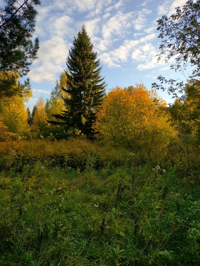 ����� � �����������