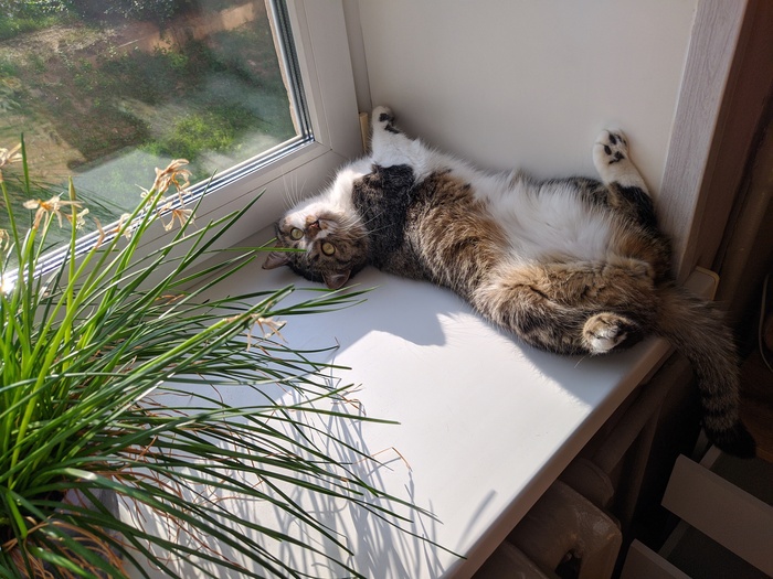 ��� ������, �������� �������, ����������