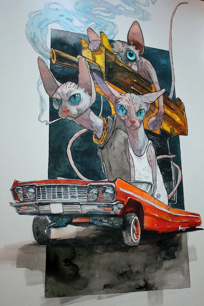 Sphinxes cruise on an impala - My, Sphinx, cat, Lowrider, Humor, Painting, Art, Canadian sphinx, Chevrolet impala, Cabriolet, Auto