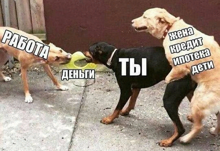 ���������� ������ ����� �����